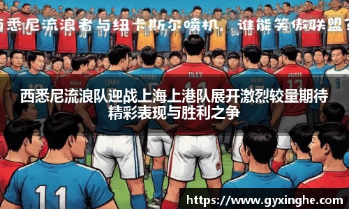 3377体育官网